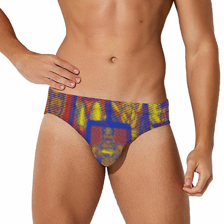 Ambiguously Gay - The Web (Swim Briefs)-Swim Briefs-Swish Embassy