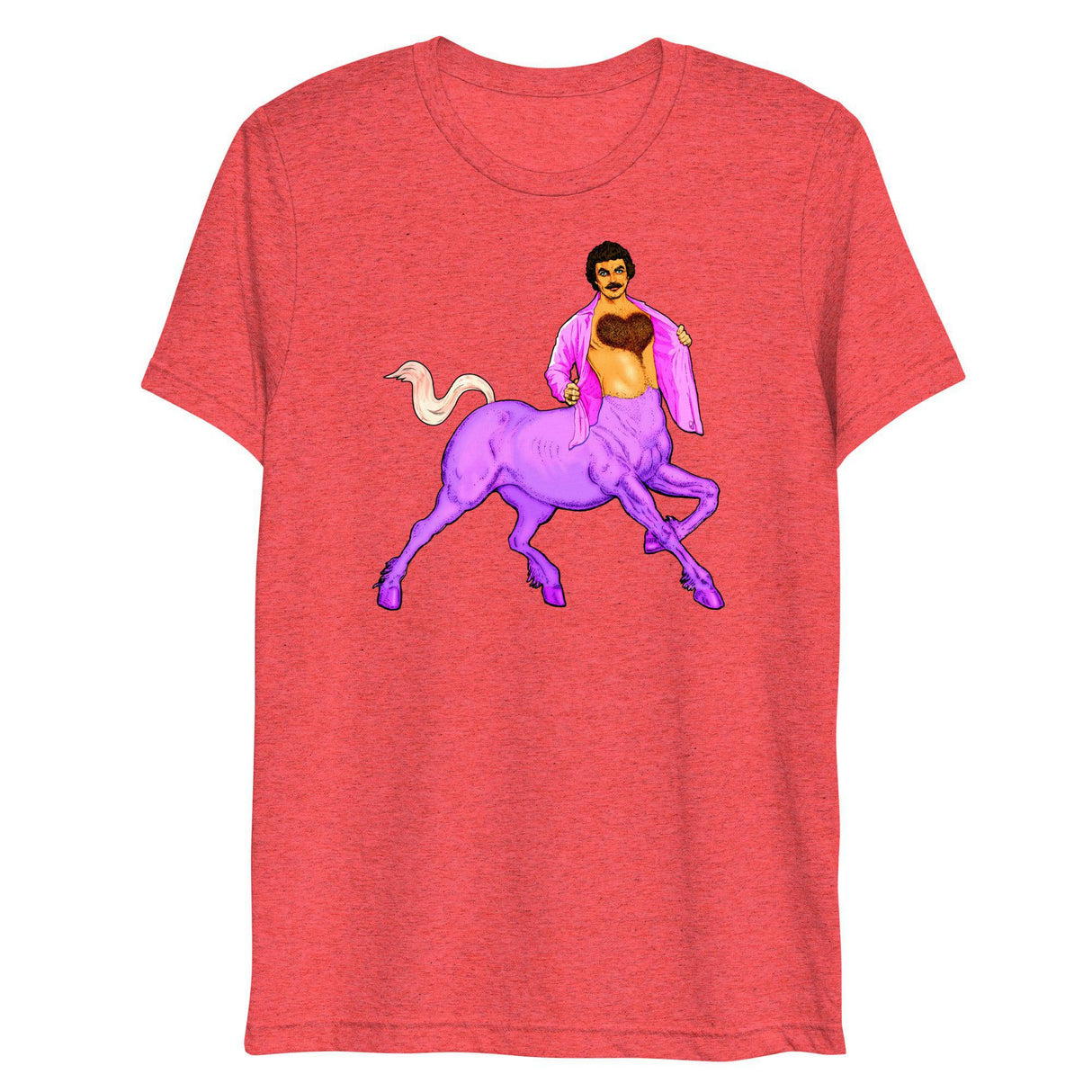 Centaur of Attention (Triblend)-Triblend T-Shirt-Swish Embassy