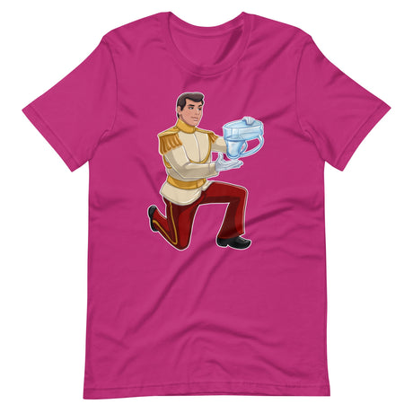 Cinderfella-T-Shirts-Swish Embassy