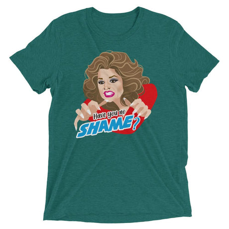 Have You No Shame? (Triblend)-Triblend T-Shirt-Swish Embassy