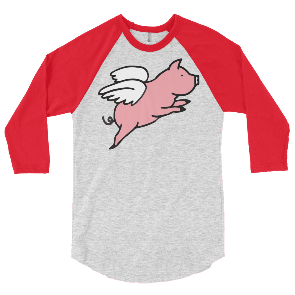 Flying Pig (Raglan)-Raglan-Swish Embassy