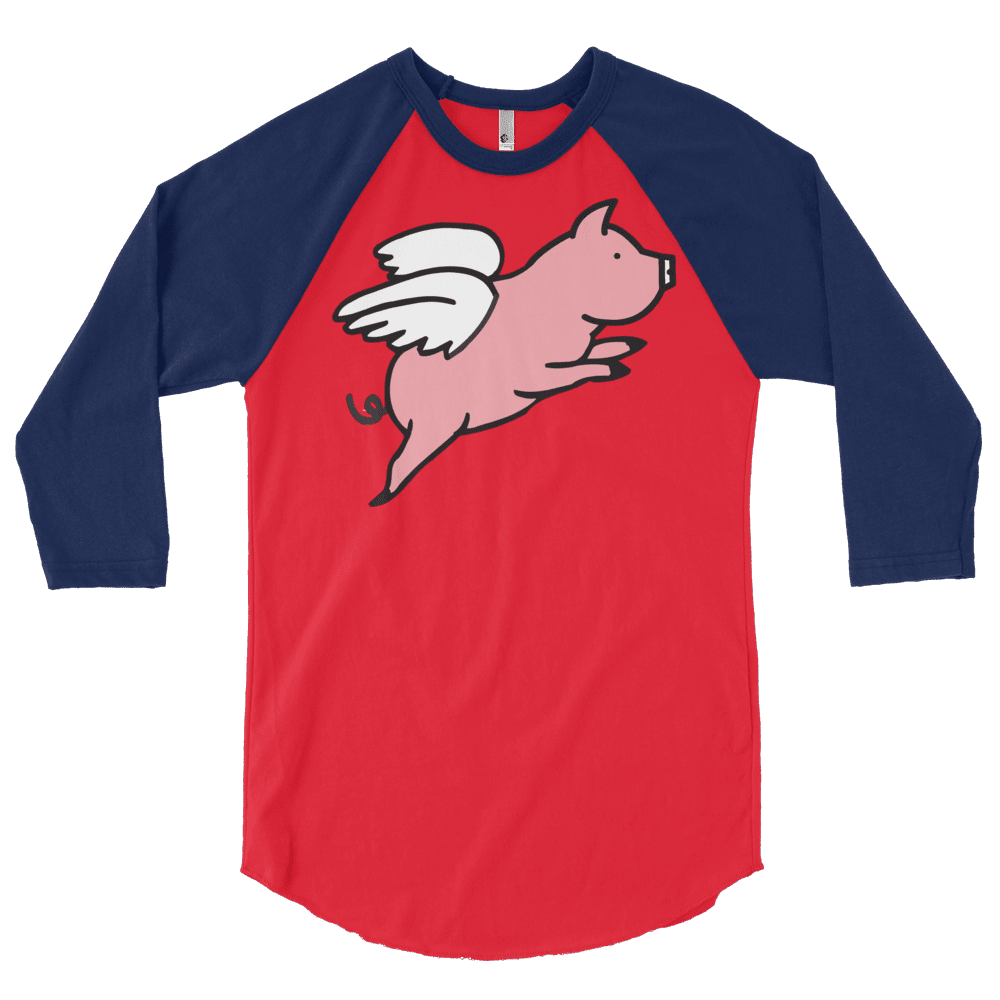 Flying Pig (Raglan)-Raglan-Swish Embassy