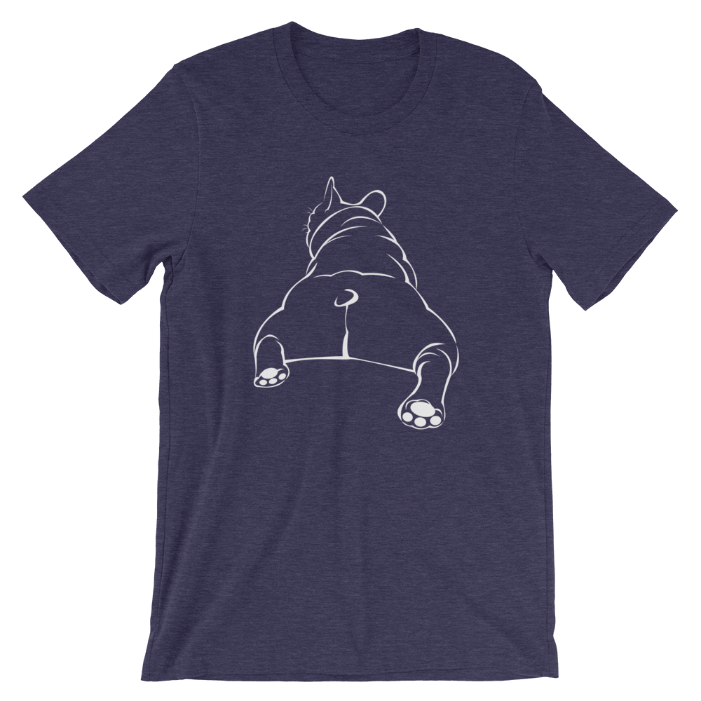 Total Top-Swish Embassy