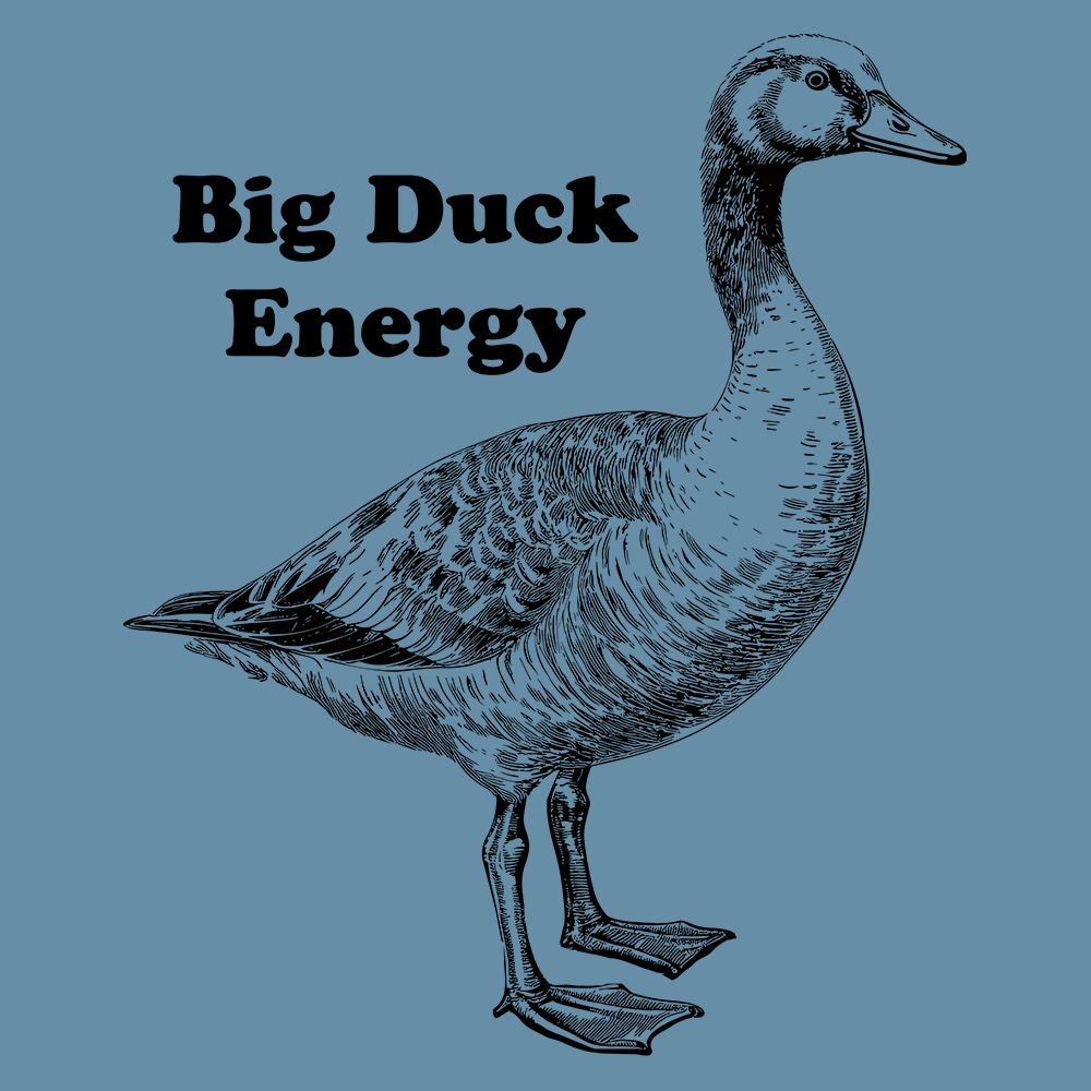 Big Duck Energy-T-Shirts-Swish Embassy