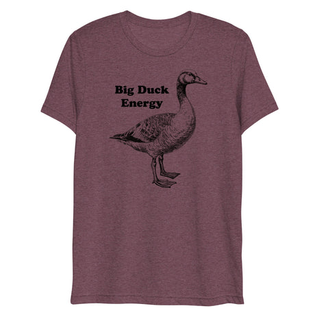 Big Duck Energy (Triblend)-Triblend T-Shirt-Swish Embassy