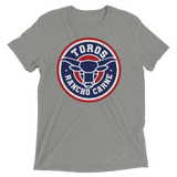 Brr It's Cold in Here (Triblend)-Triblend T-Shirt-Swish Embassy