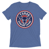 Brr It's Cold in Here (Triblend)-Triblend T-Shirt-Swish Embassy