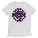 Brr It's Cold in Here (Triblend)-Triblend T-Shirt-Swish Embassy