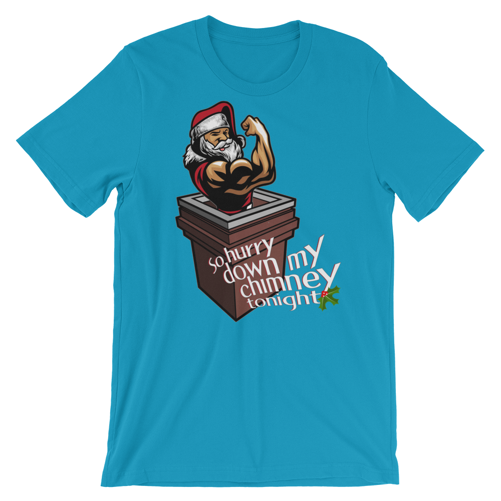 Hurry Down the Chimney-T-Shirts-Swish Embassy