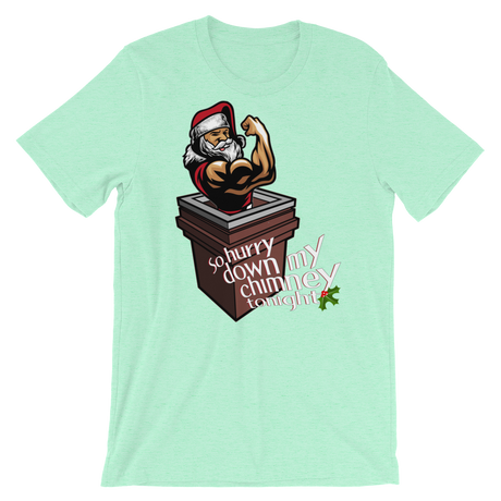 Hurry Down the Chimney-T-Shirts-Swish Embassy