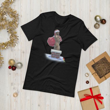 Hurry Down the Chimney-T-Shirts-Swish Embassy