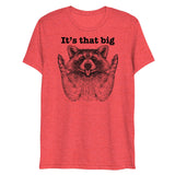 It's that big (Triblend)-Triblend T-Shirt-Swish Embassy