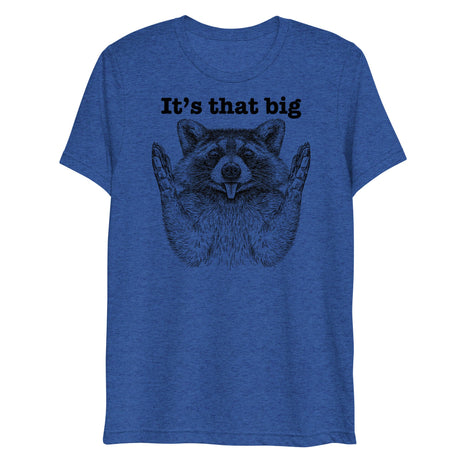 It's that big (Triblend)-Triblend T-Shirt-Swish Embassy