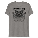 It's that big (Triblend)-Triblend T-Shirt-Swish Embassy