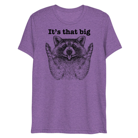 It's that big (Triblend)-Triblend T-Shirt-Swish Embassy