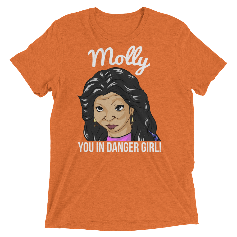 Molly You in Danger (Triblend)-Triblend T-Shirt-Swish Embassy