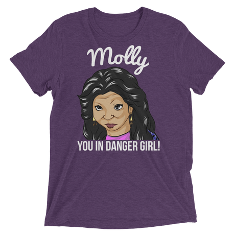 Molly You in Danger (Triblend)-Triblend T-Shirt-Swish Embassy