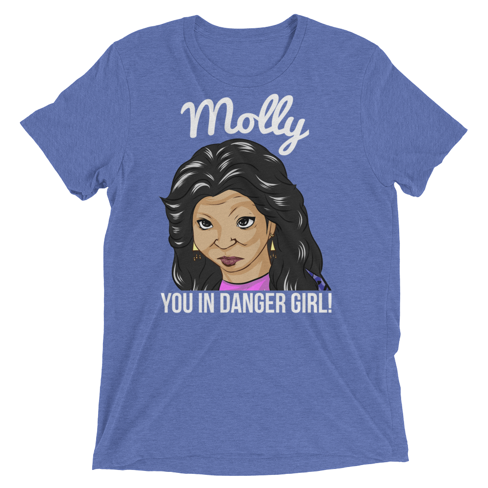 Molly You in Danger (Triblend)-Triblend T-Shirt-Swish Embassy