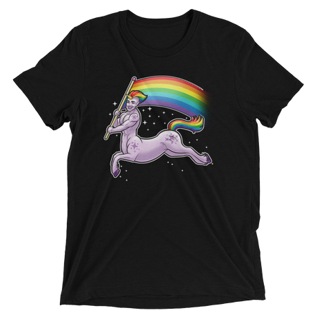 Pride Centaur (Triblend)-Triblend T-Shirt-Swish Embassy