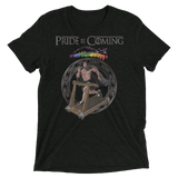 Pride is Coming (Triblend)-Triblend T-Shirt-Swish Embassy