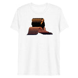 Rolling on a Rainbow (Triblend)-Triblend T-Shirt-Swish Embassy