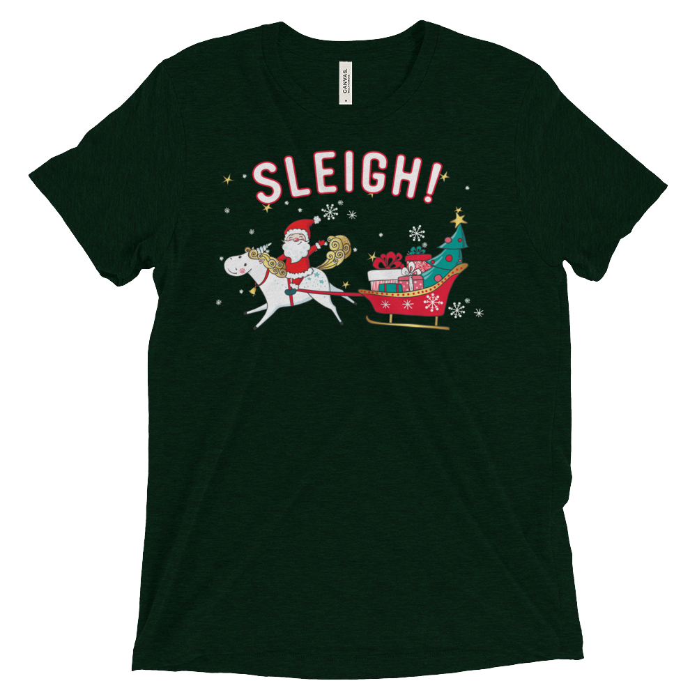 Sleigh! (Triblend)-Triblend T-Shirt-Swish Embassy