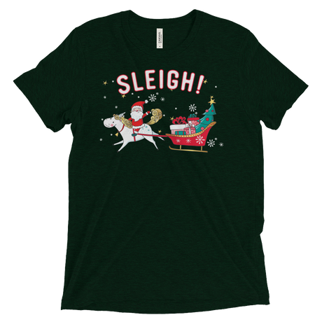 Sleigh! (Triblend)-Triblend T-Shirt-Swish Embassy