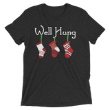 Well Hung Stockings (Triblend)-Triblend T-Shirt-Swish Embassy