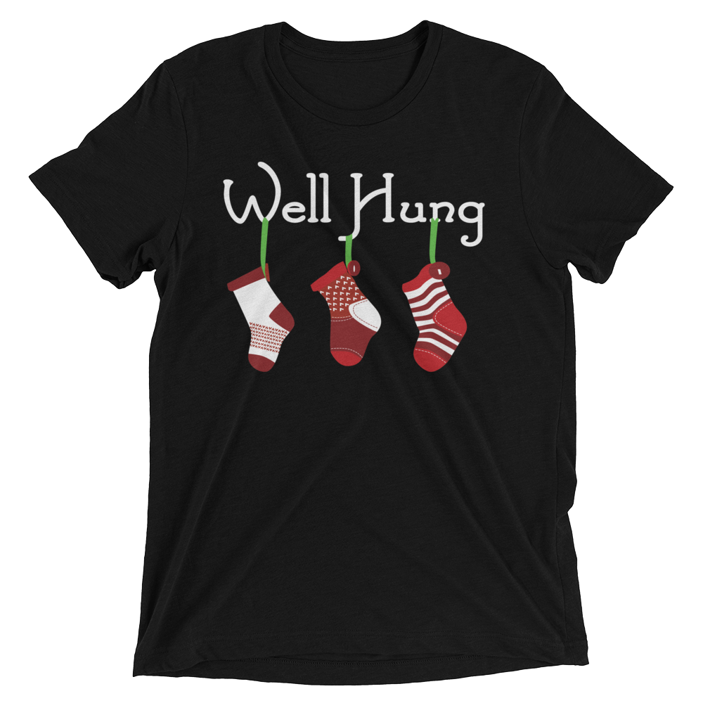 Well Hung Stockings (Triblend)-Triblend T-Shirt-Swish Embassy