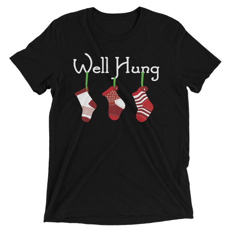 Well Hung Stockings (Triblend)-Triblend T-Shirt-Swish Embassy