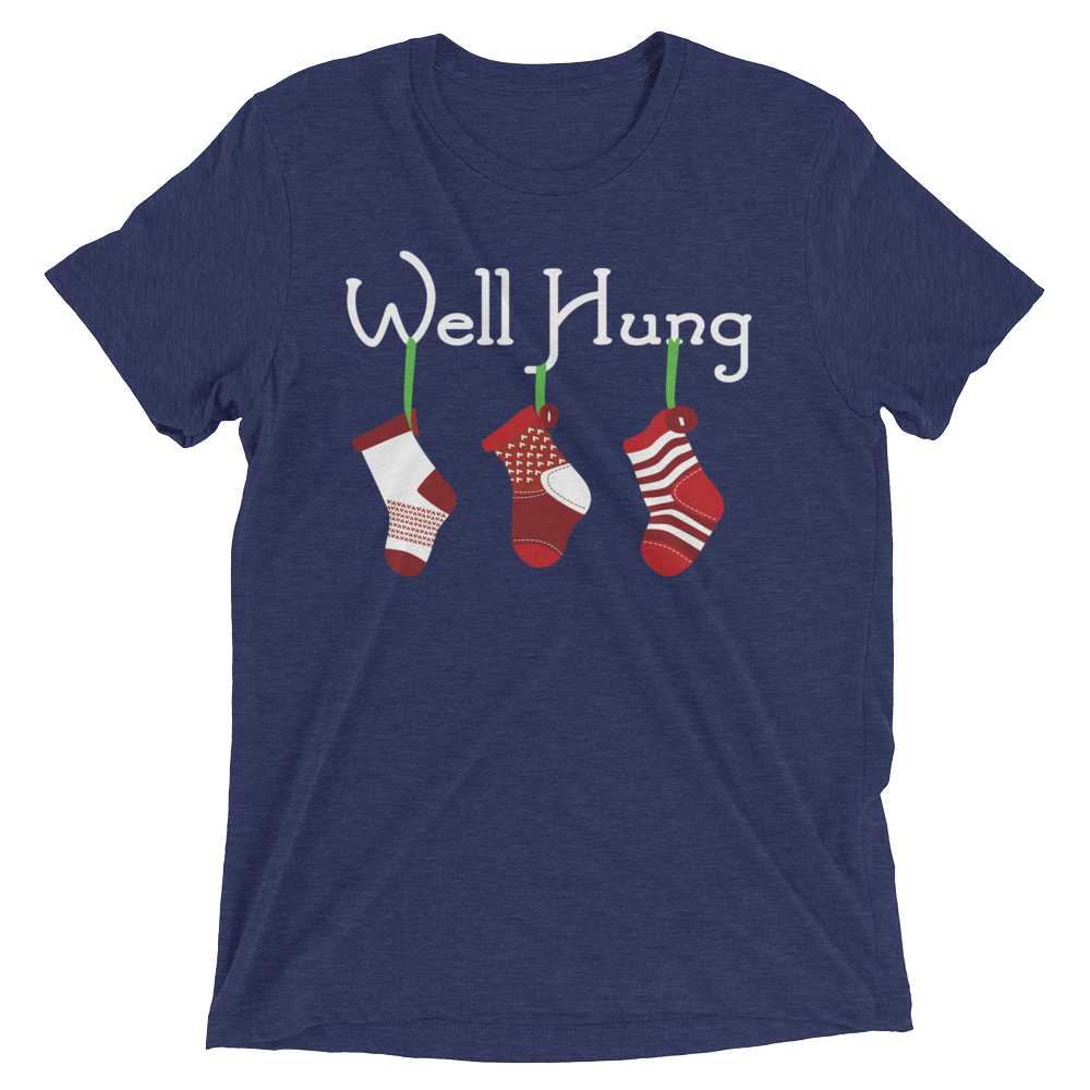 Well Hung Stockings (Triblend)-Triblend T-Shirt-Swish Embassy