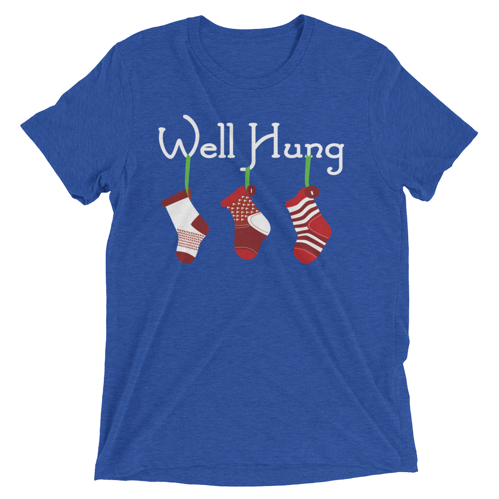 Well Hung Stockings (Triblend)-Triblend T-Shirt-Swish Embassy