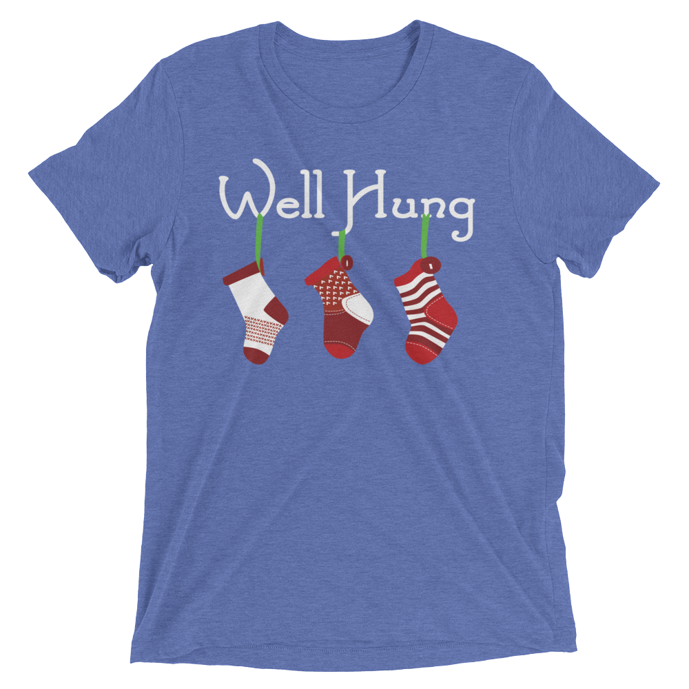 Well Hung Stockings (Triblend)-Triblend T-Shirt-Swish Embassy