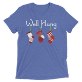 Well Hung Stockings (Triblend)-Triblend T-Shirt-Swish Embassy