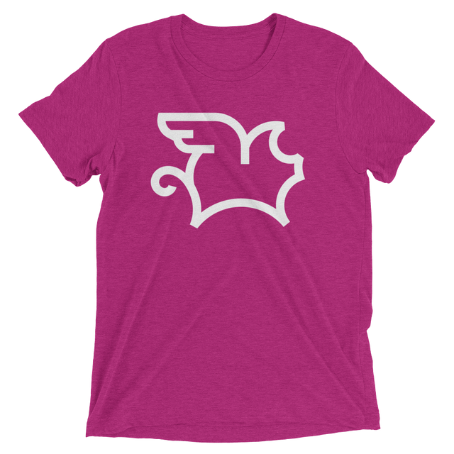 When Pigs Fly (Triblend)-Triblend T-Shirt-Swish Embassy