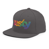 Zesty (Snapback Hat)-Headwear-Swish Embassy