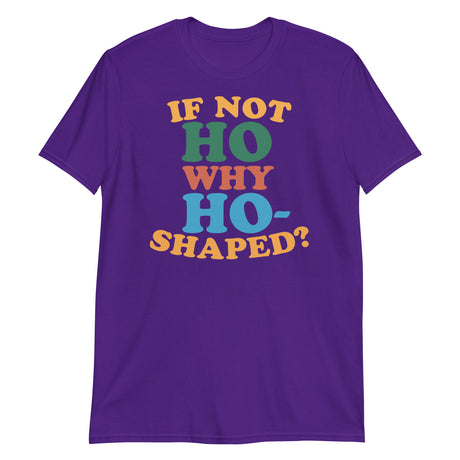 If Not Ho Why Ho-Shaped?-T-Shirts-Swish Embassy