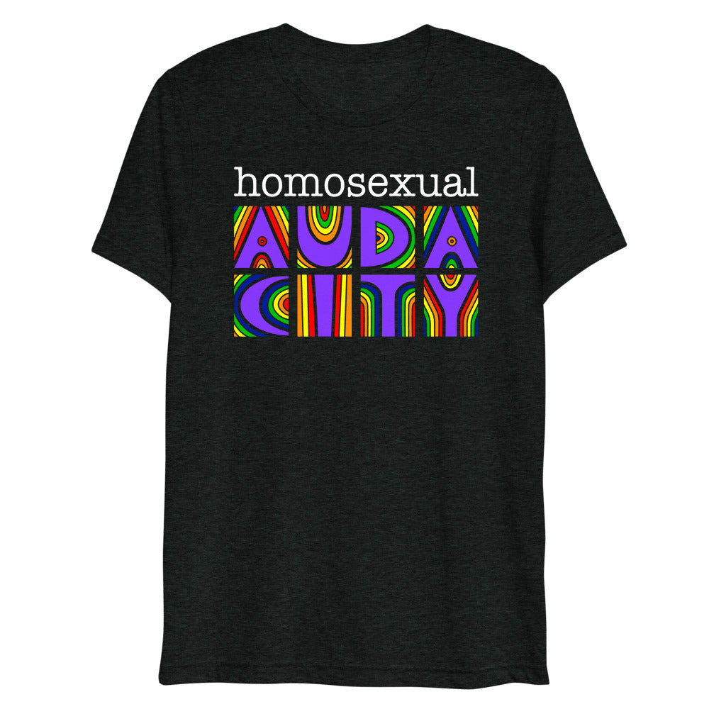 Homosexual Audacity (Triblend) - Charcoal-Black Triblend