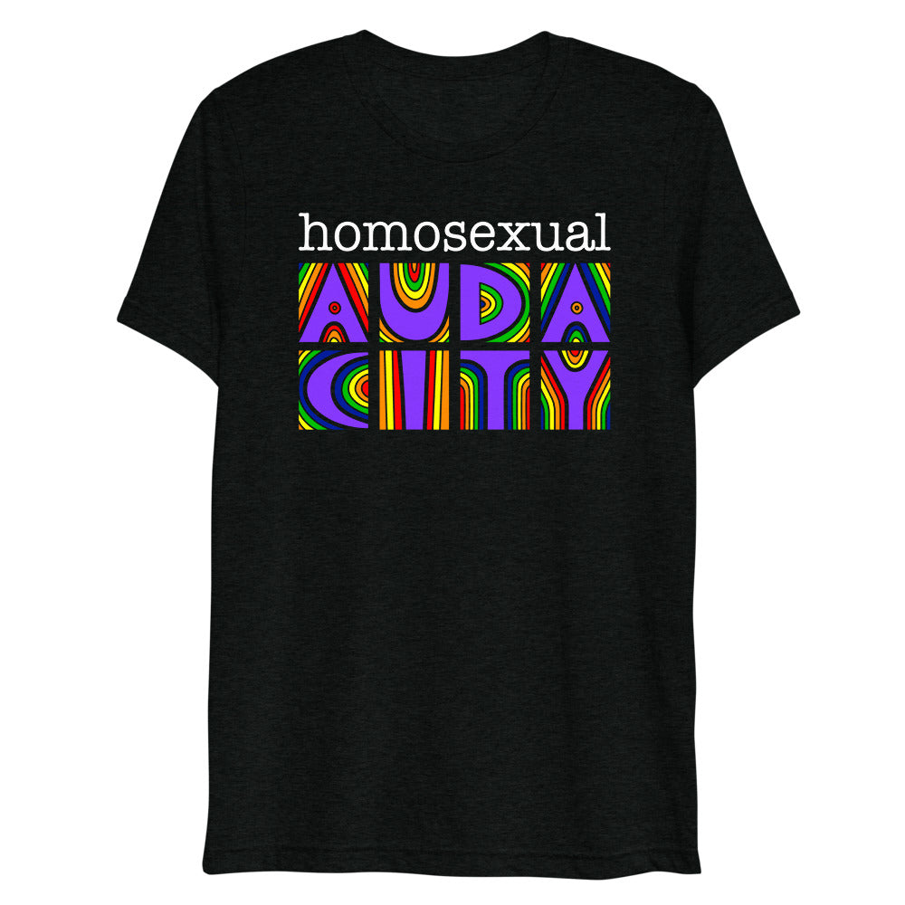 Homosexual Audacity (Triblend) - Solid Black Triblend