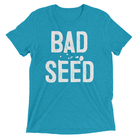 Bad Seed (Retail Triblend)-Triblend T-Shirt-Swish Embassy