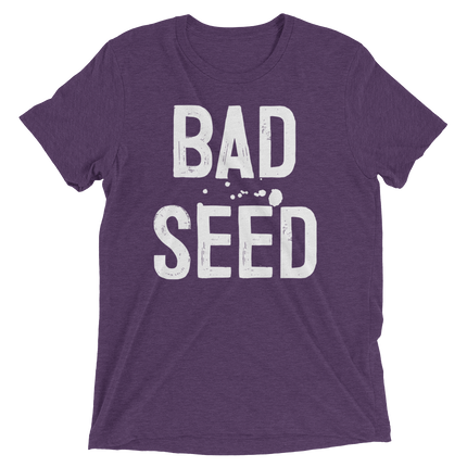 Bad Seed (Retail Triblend)-Triblend T-Shirt-Swish Embassy