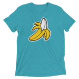 Banana (Retail Triblend)-Triblend T-Shirt-Swish Embassy