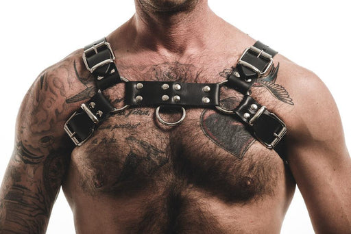 Basic Bull (Harness)-Leather-Swish Embassy