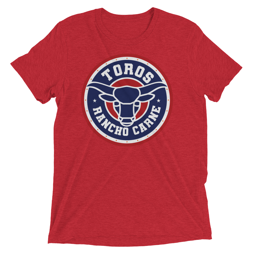 Brr It's Cold in Here (Retail Triblend)-Triblend T-Shirt-Swish Embassy