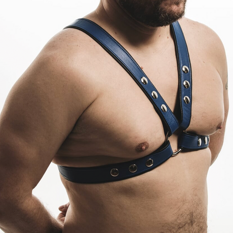 Castro (Harness)-Leather-Swish Embassy