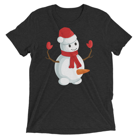 Do You Wanna Build A Snowman? (Retail Triblend)-Triblend T-Shirt-Swish Embassy