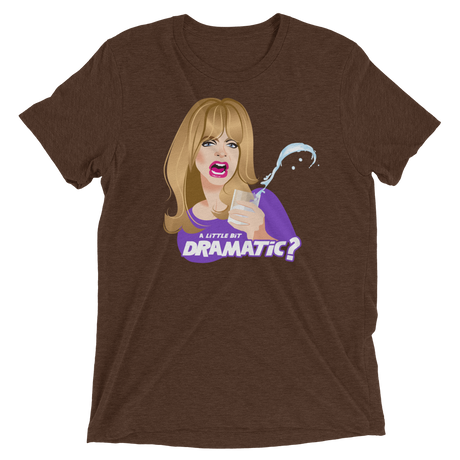 Dramatic (Retail Triblend)-Triblend T-Shirt-Swish Embassy