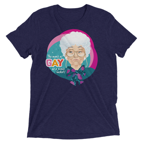 Gay as a Picnic Basket-Triblend T-Shirt-Swish Embassy