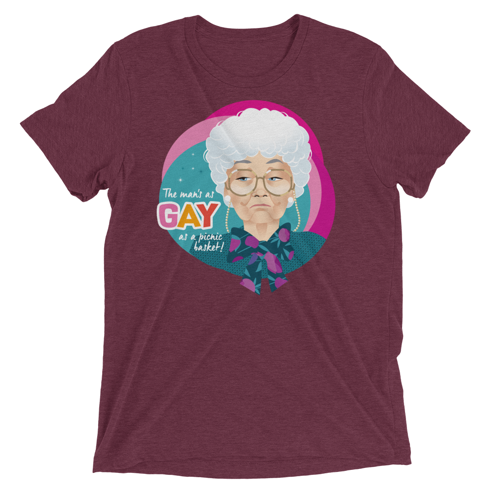 Gay as a Picnic Basket-Triblend T-Shirt-Swish Embassy