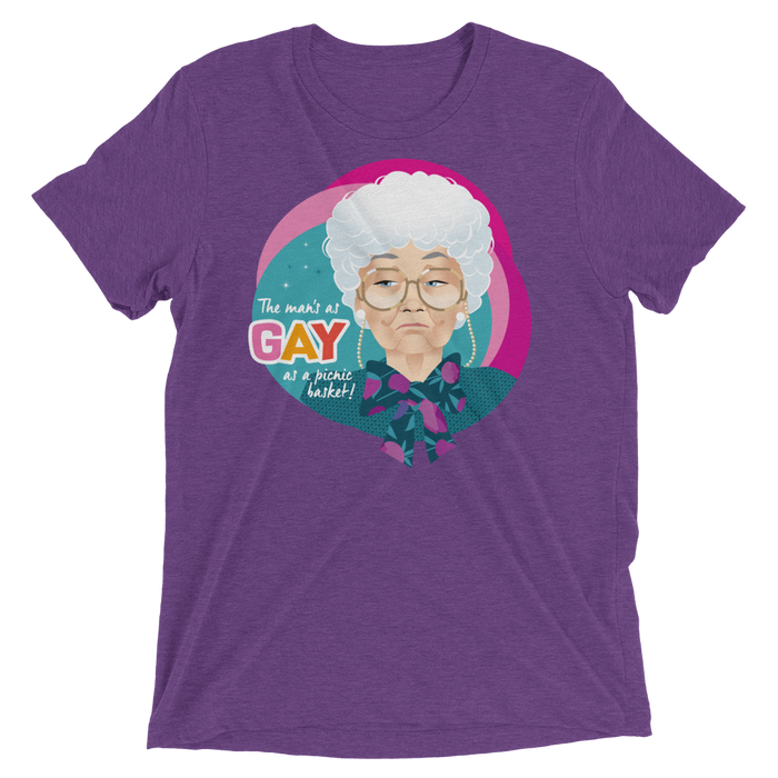 Gay as a Picnic Basket-Triblend T-Shirt-Swish Embassy